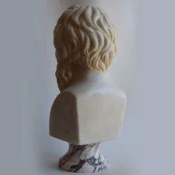 Todini Sculture Busto di Socrate><noscript><img width=