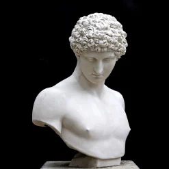 Galleria Romanelli Busto in gesso di Antinoo> Sculture Decorative