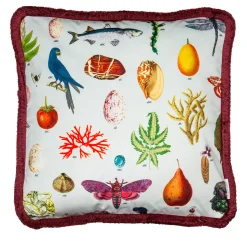 Grand Tour by Vito Nesta Cabinet De Curiosités Cuscino in velluto con elementi naturali #1> Cuscini