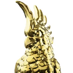 Marioni Cacatua Pappagallo arancione><noscript><img width=