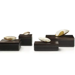 Arcahorn CAPRICIA box #1><noscript><img width=