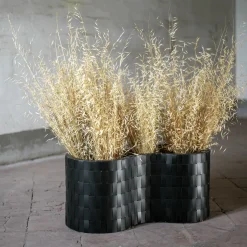 Splot Design Carex Black Cachepot> Cachepot E Portavasi