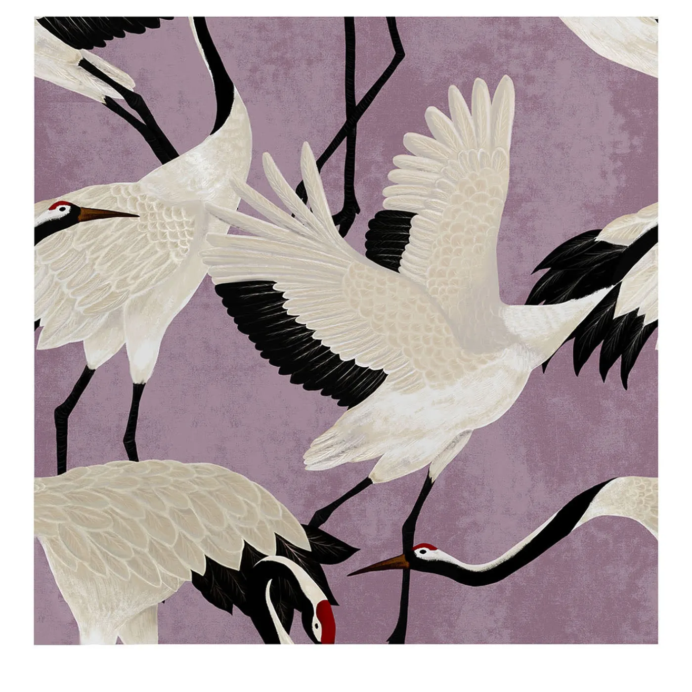 Wallpapers4Beginners Carta da Parati con Aironi Viola> Carte Da Parati