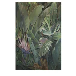 Larghevedute Carta da parati della foresta tropicale> Carte Da Parati