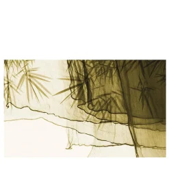 Now Edizioni Carta da parati Floating on Bamboo> Carte Da Parati