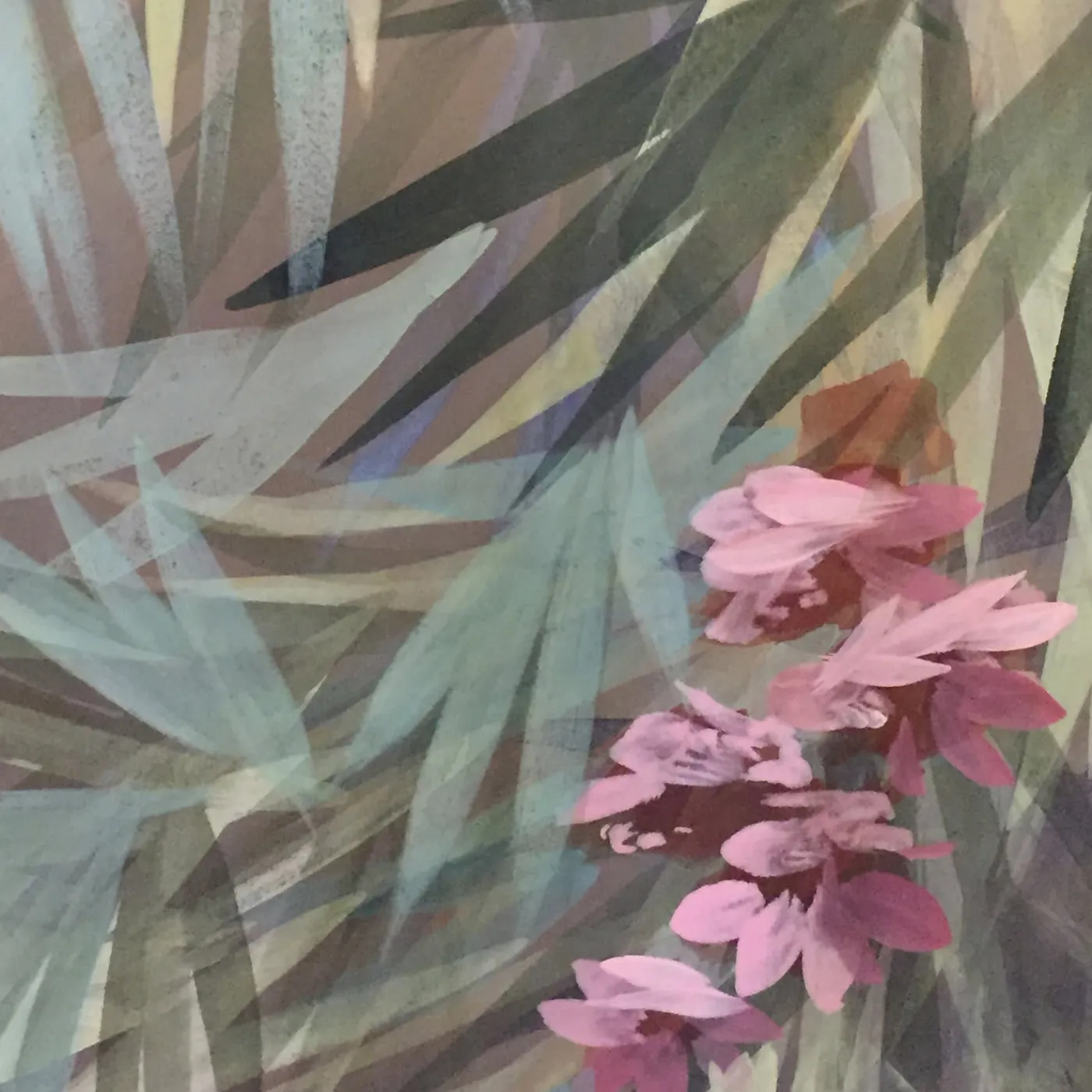 Larghevedute Carta da parati grigia per giardini> Carte Da Parati