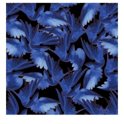 MaVoix Carta da parati Misteriosa di Leonardo Dini> Carte Da Parati