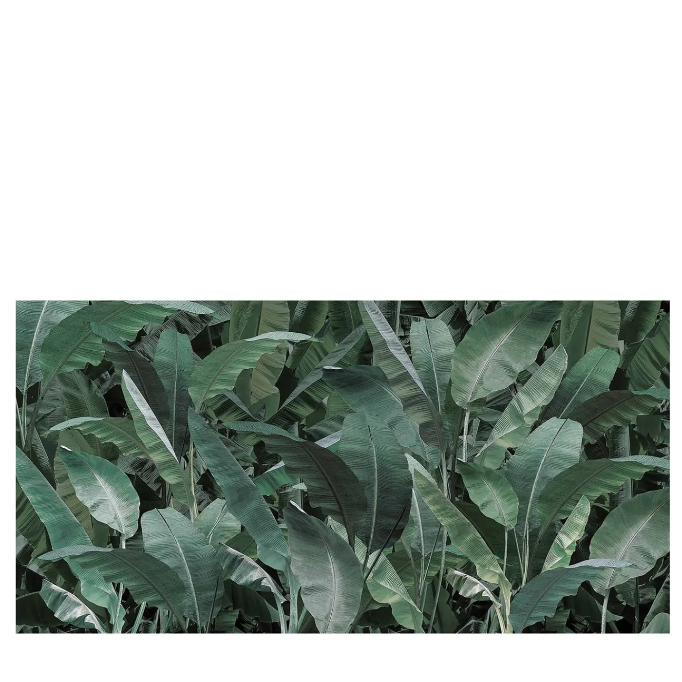 Now Edizioni Carta da parati Thai Banano> Carte Da Parati