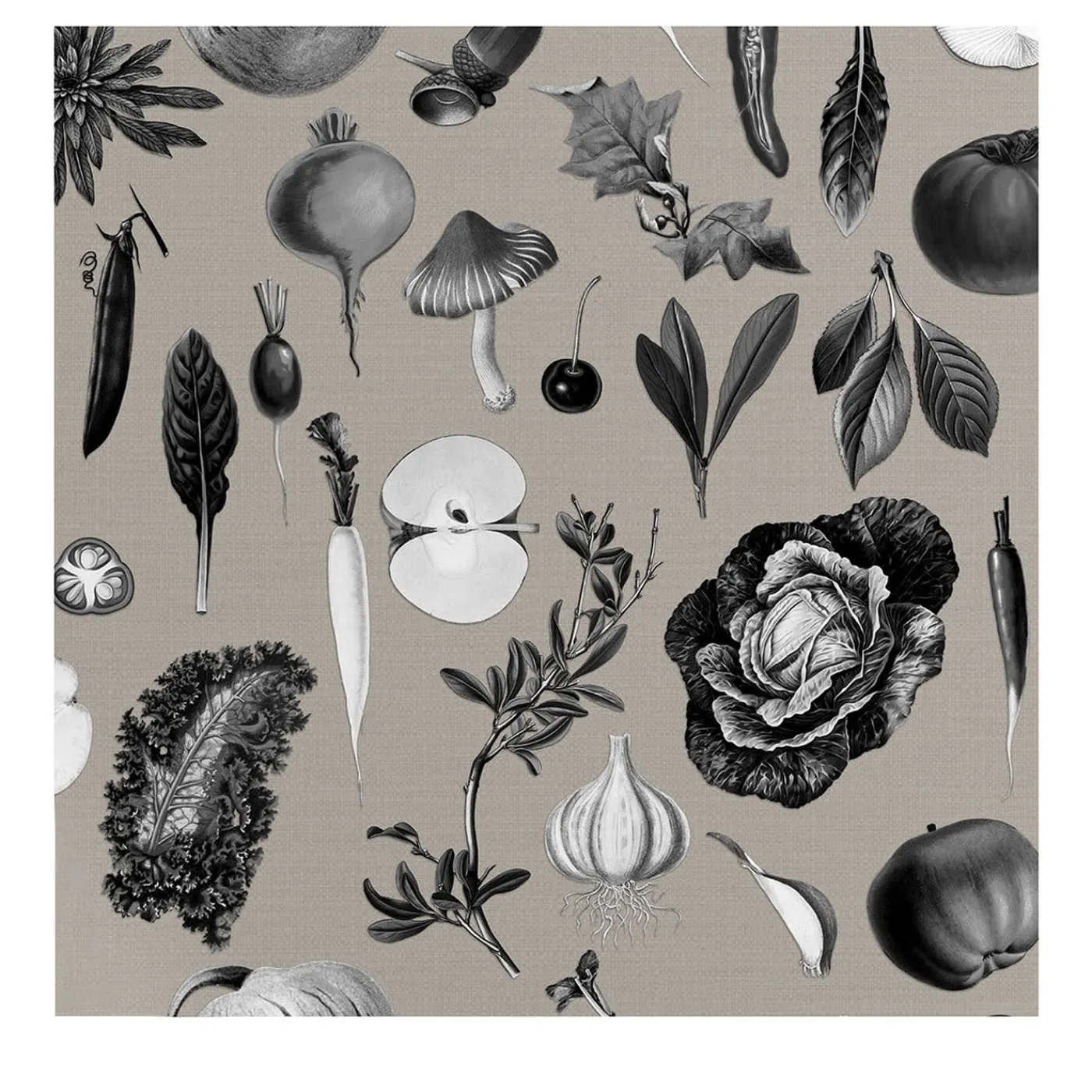 Wallpapers4Beginners Carta da Parati Vintage Grigia con Verdure per Cucina> Carte Da Parati