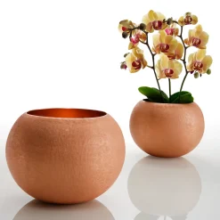 Zanetto Centrotavola Coccorosso> Centrotavola