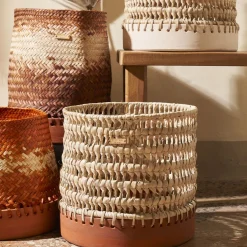 Stilleben Cestino rigido nudo e arancione><noscript><img width=