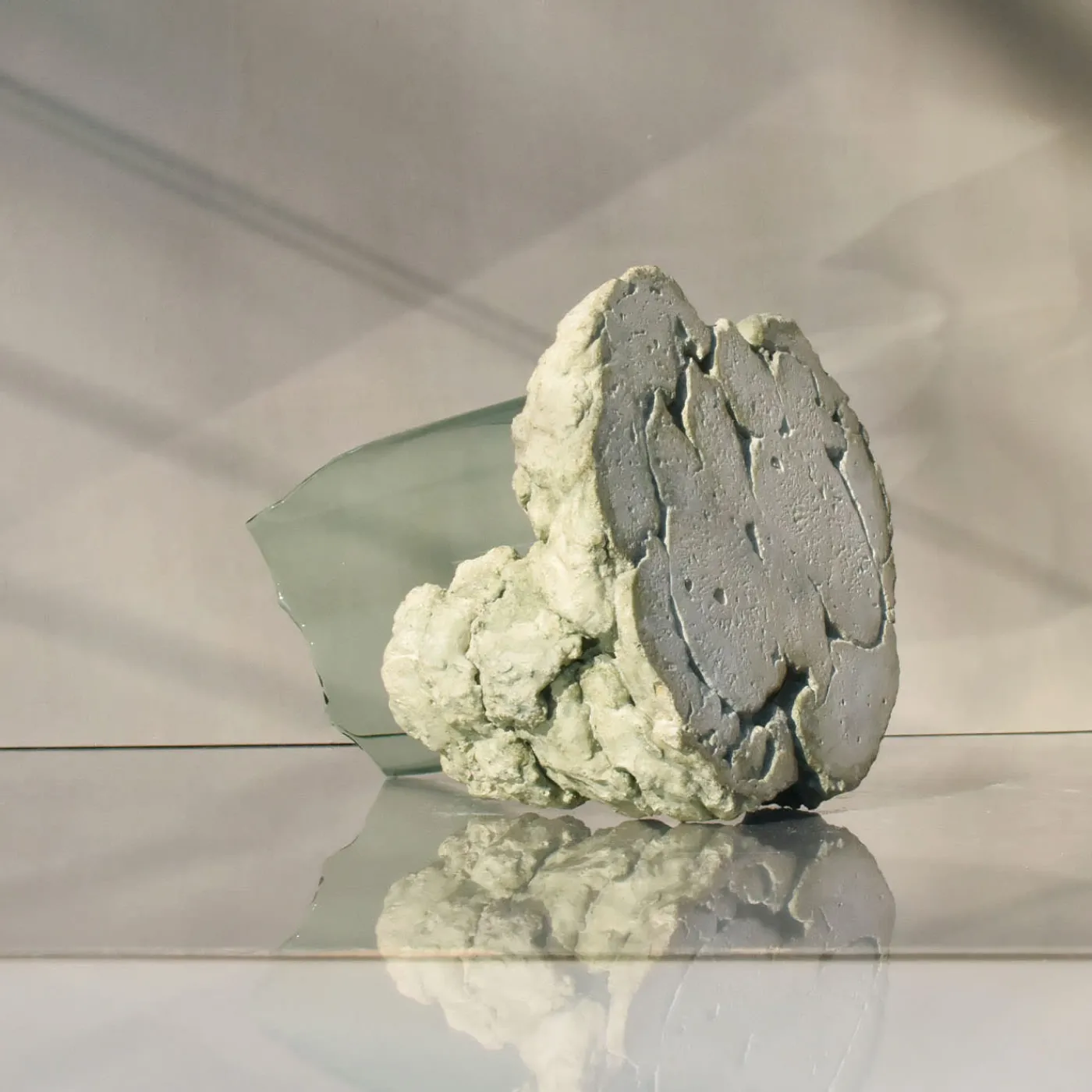 Coki Ciotola decorativa in vetro salvia scultorea Catharsis> Centrotavola