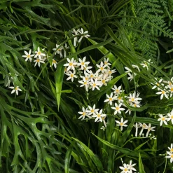 VGnewtrend Composizione verde verticale per esterni Meleda><noscript><img width=