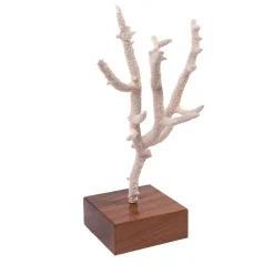 Marricreo Corallo di Acropora Nobilis su base di noce> Statuine