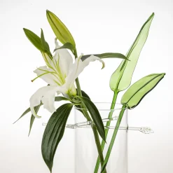 Casarialto Grande vaso tropicale Kansashi> Vasi Decorativi