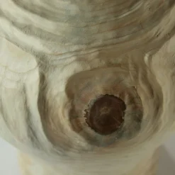 Nicola Tessari Groove FTG Vaso di araucaria in stile coreano><noscript><img width=