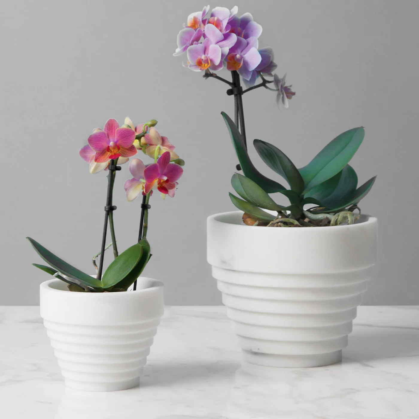 MMairo Guggenheim Piccolo vaso bianco Michelangelo di Michele Chiossi> Vasi Da Fiori