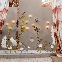 Barbara Petrecca Il Grande Felino Tende><noscript><img width=