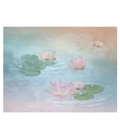 Officinarkitettura Loto Nature Carta da parati> Carte Da Parati