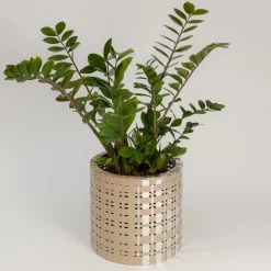 Splot Design Lux Trabem Cachepot d'oro e d'argento><noscript><img width=