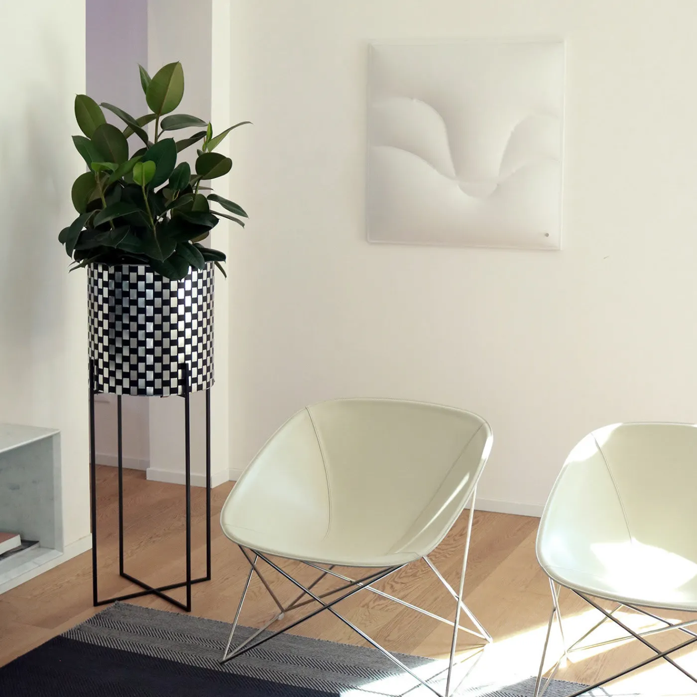 Splot Design Nexum Optical 80 Nero Chachepot> Cachepot E Portavasi