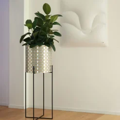 Splot Design Nexum Ottico 80 Oro Chachepot><noscript><img width=