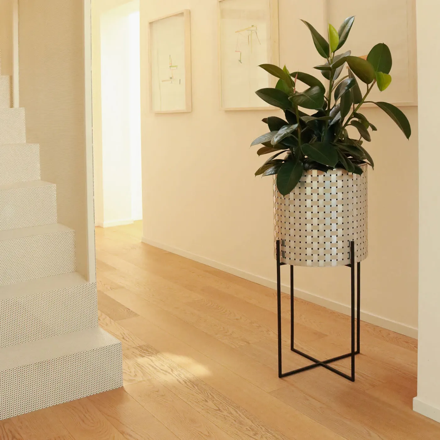 Splot Design Nexum Ottico 60 Oro Chachepot> Cachepot E Portavasi