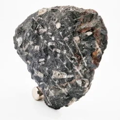 Design Center 1991 Orologio scultura Nautilo di Nino Basso> Orologi