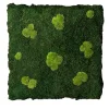 VGnewtrend Pannello interno Flatmoss e Polemoss> Sculture Da Parete