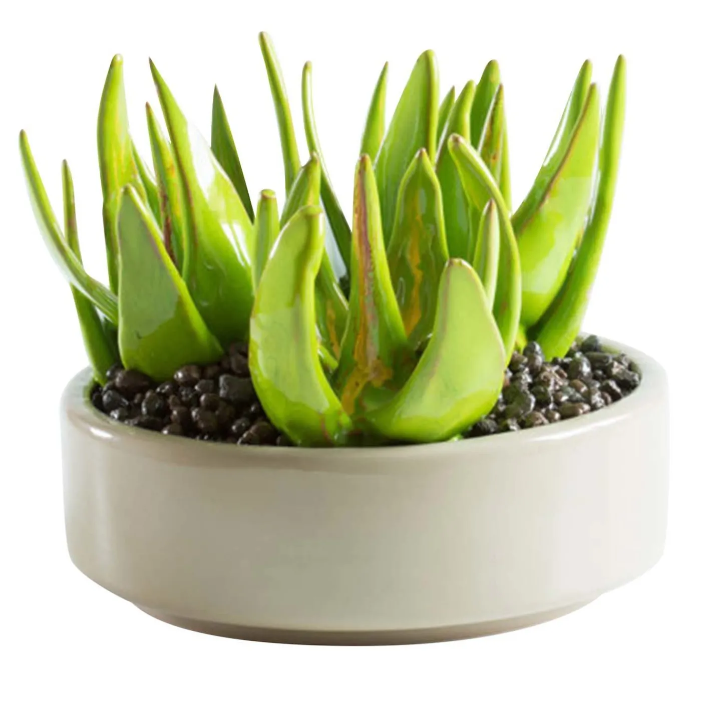 Arcucci Handmade Pianta di Aloe in ceramica d.22cm> Sculture Decorative