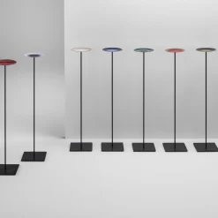 Incalmi Piastra Specola 2/15 su supporto><noscript><img width=