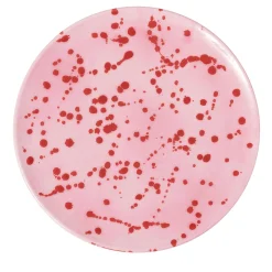 Carola fra i Trulli Piatto decorativo in ceramica fucsia e rossa> Piatti Decorativi