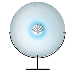 Venini Piatto decorativo Quattro Stagioni Inverno> Piatti Decorativi