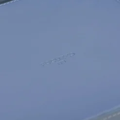 Foglizzo 1921 Picasso Cielo Blue Svuotatasche Grande><noscript><img width=