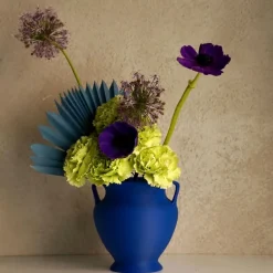 Pop Pot Poppea M Bue Anfora> Anfore