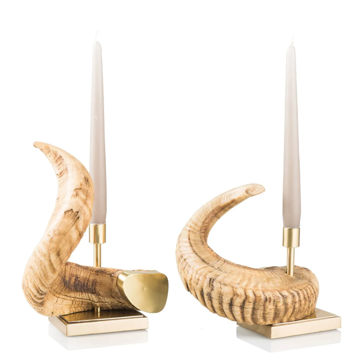 Selezioni Domus Porta Candela in Corno di Muflone> Candelieri E Portacandele