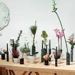 MMairo Portacandele Kadomatsu Verde Guatemala di Michele Chiossi><noscript><img width=