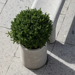 Veltha Outdoor Stone Design Portavasi in pietra Peperino grigio lapis><noscript><img width=