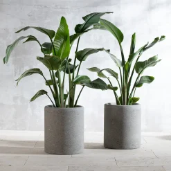 Veltha Outdoor Stone Design Portavasi in pietra Peperino grigio lapis><noscript><img width=