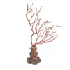 Edi Chirumbolo Ramo del corallo> Sculture Decorative