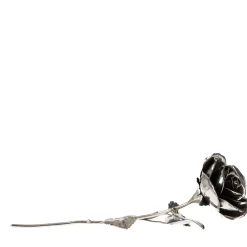 Fratelli Lisi Rosa d'argento><noscript><img width=