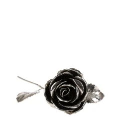 Fratelli Lisi Rosa d'argento><noscript><img width=