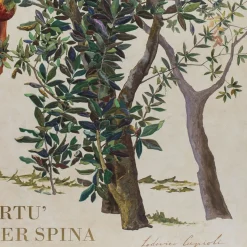 Cupioli Scagliola e olio a rilievo di Lodovico> Pannelli Decorativi