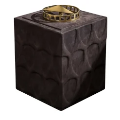 Ex Forti Scatola Bruto marrone scuro> Scatole