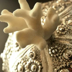 Petri Firenze Scatola d'argento con riccio di mare e coperchio di corallo><noscript><img width=