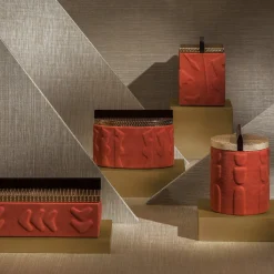 Ex Forti Scatola di corallo Kan><noscript><img width=