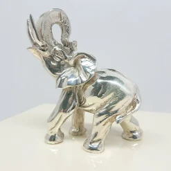 Petri Firenze Scatola di elefanti><noscript><img width=