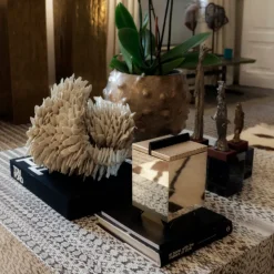 Ex Forti Scatola Ixa><noscript><img width=