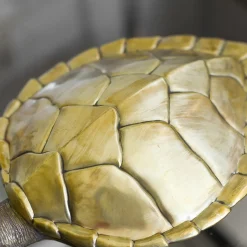 Molto Collectibles Scatola Tartaruga in Ottone> Scatole