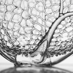 Simone Crestani Scultura Coral in Vetro #2> Sculture Decorative